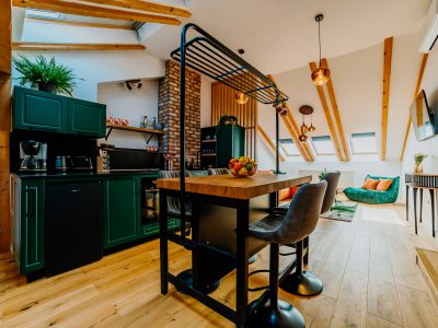 Telluride Apartment
