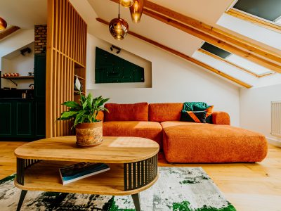 Telluride Apartment