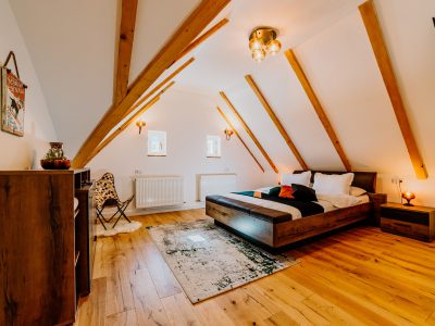 Telluride Apartment
