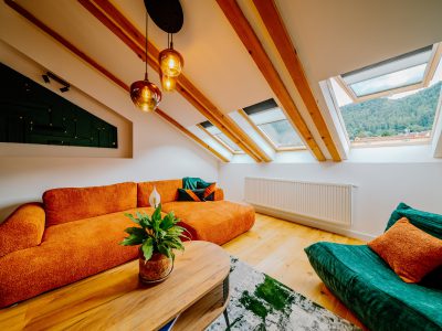 Telluride Apartment